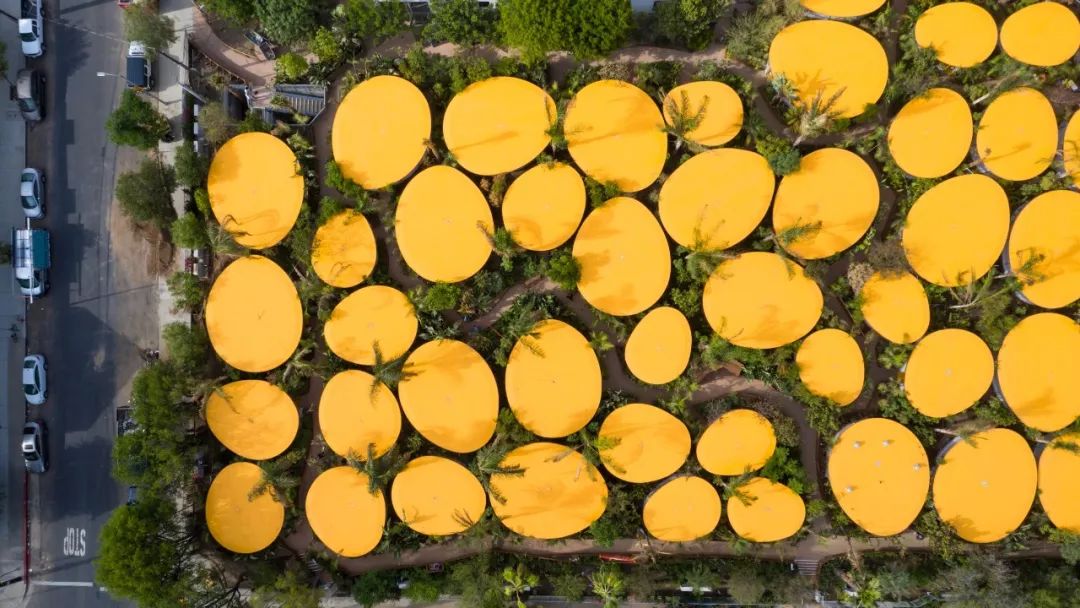 微信图片_20200323090408