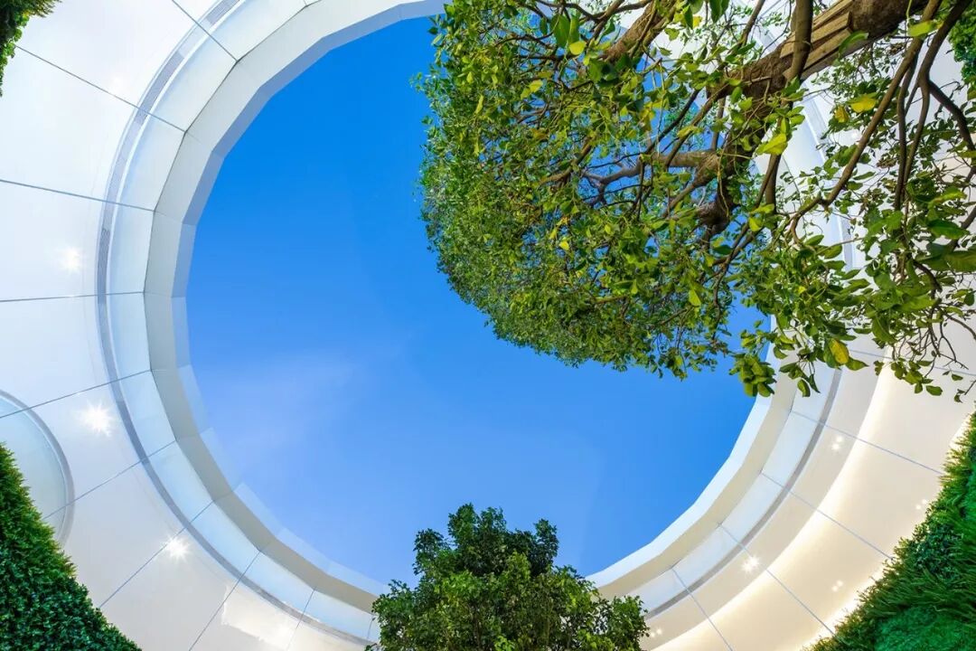 增城【品秀星图TOD】新塘扛跌之王