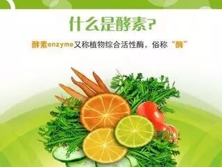 酵素不属于药品，但为什么有助于人体健康？