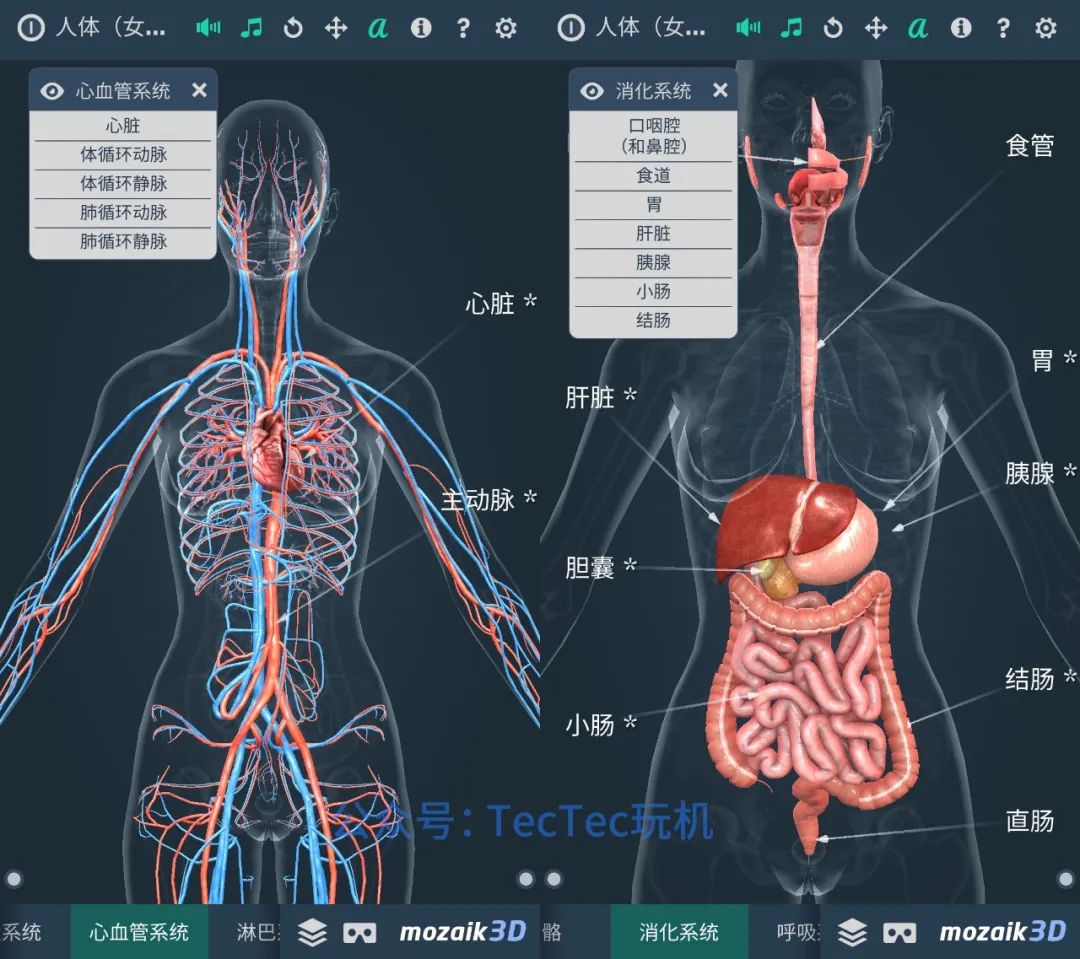 分享一款可以了解人体构造的3D软件，详细介绍各个部位的器官组织(图4)