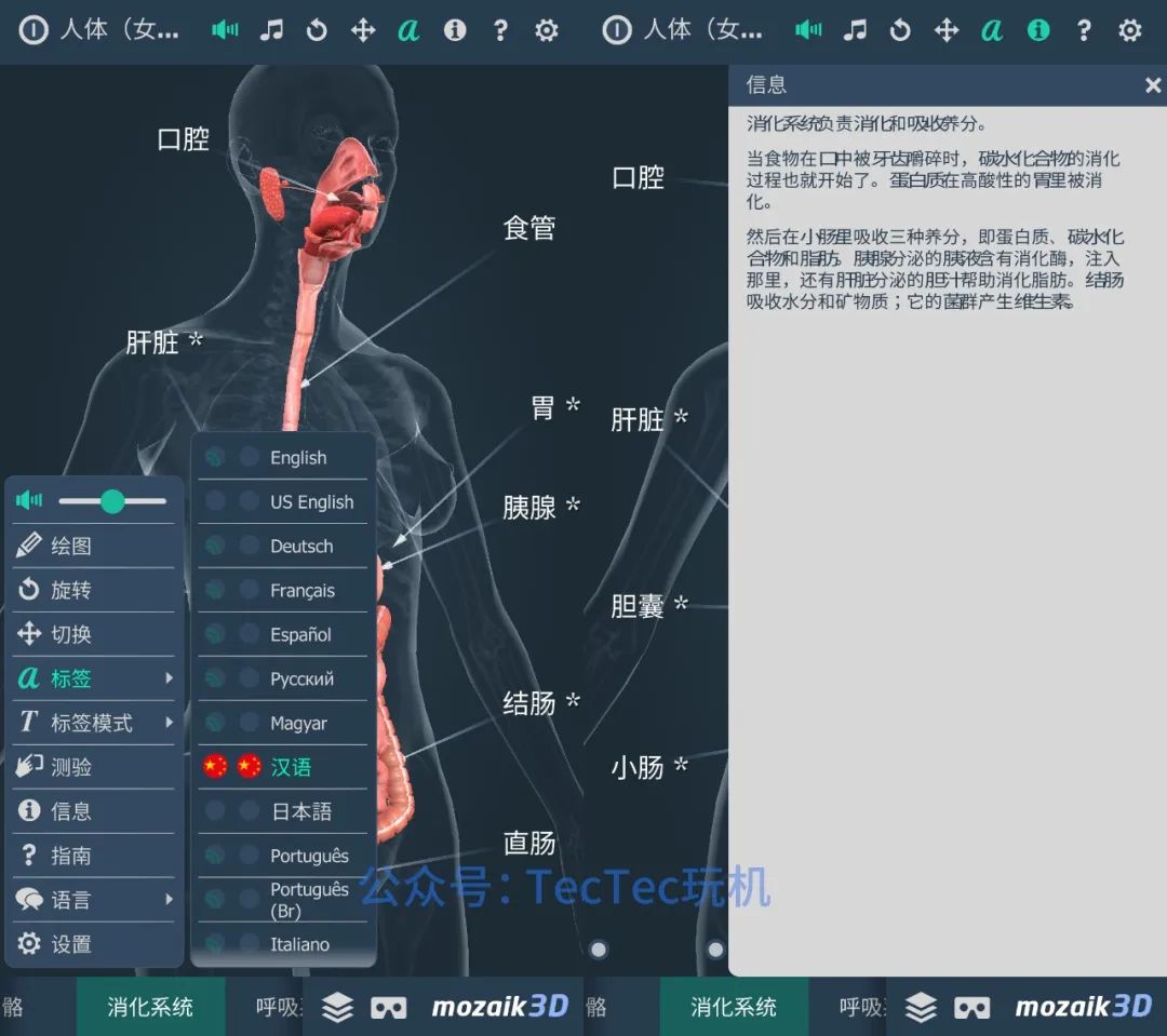分享一款可以了解人体构造的3D软件，详细介绍各个部位的器官组织(图7)