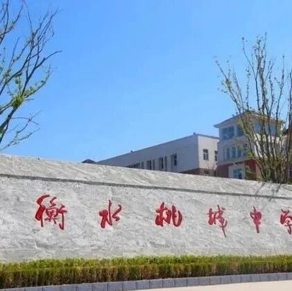 桃城中学遭学生控诉：如何看待少年们的集体“叛逆”？