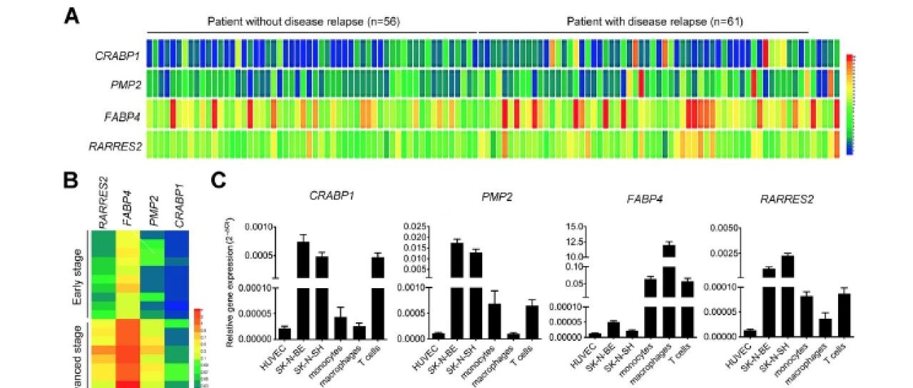CTM期刊 | FABP4通过泛素化肿瘤相关巨噬细胞内的ATPB使 NF-κB-IL1α 信号通路失活并促进神经母细胞瘤的进展