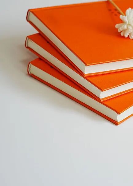 南京邮电大学图书馆 2023南邮读书节 | 书享盛宴·在文学中邂逅南京——书海寻宝摄影大赛拍了拍你