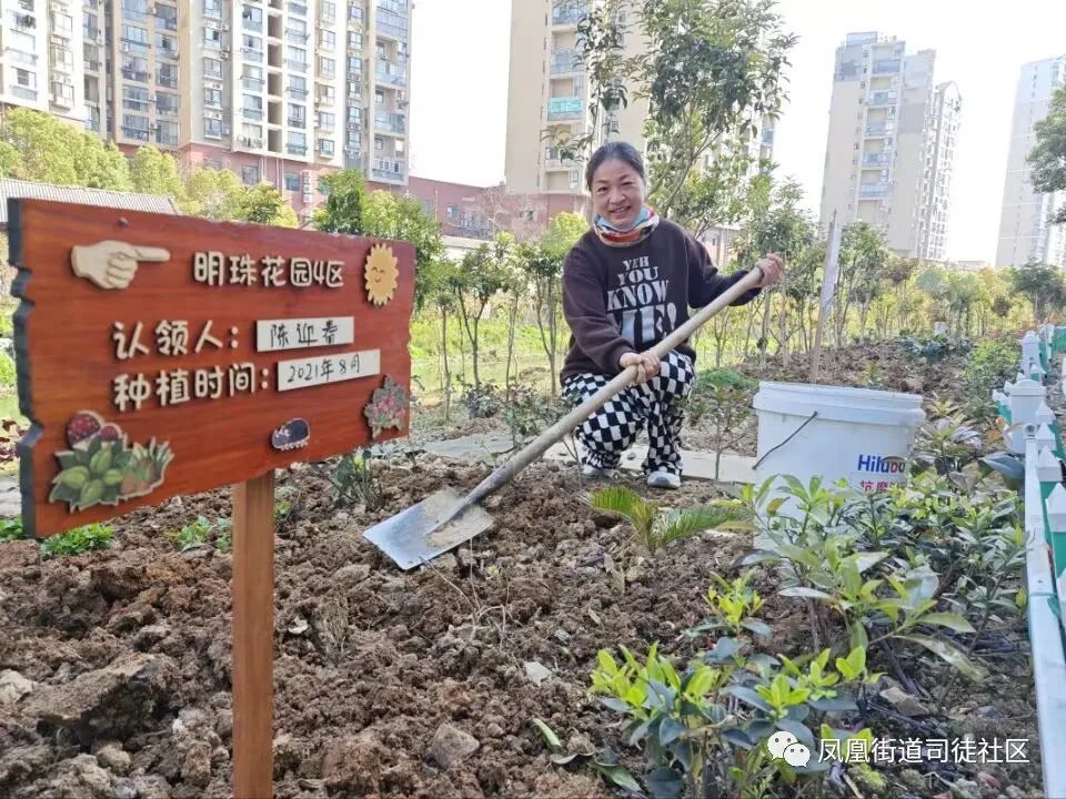 建设银行填表为什么不能画花