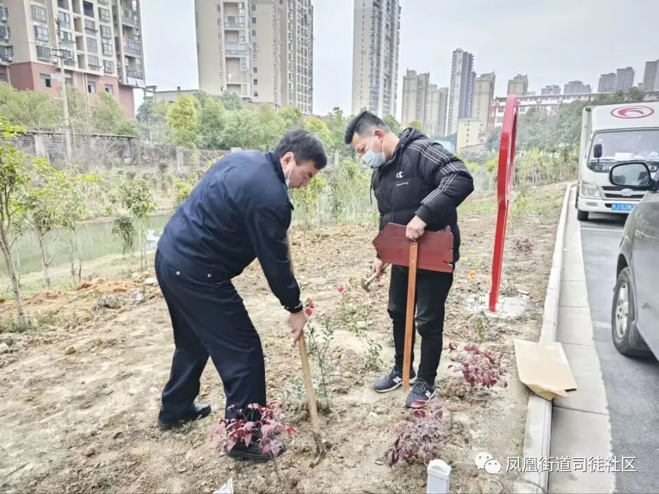 建设银行填表为什么不能画花