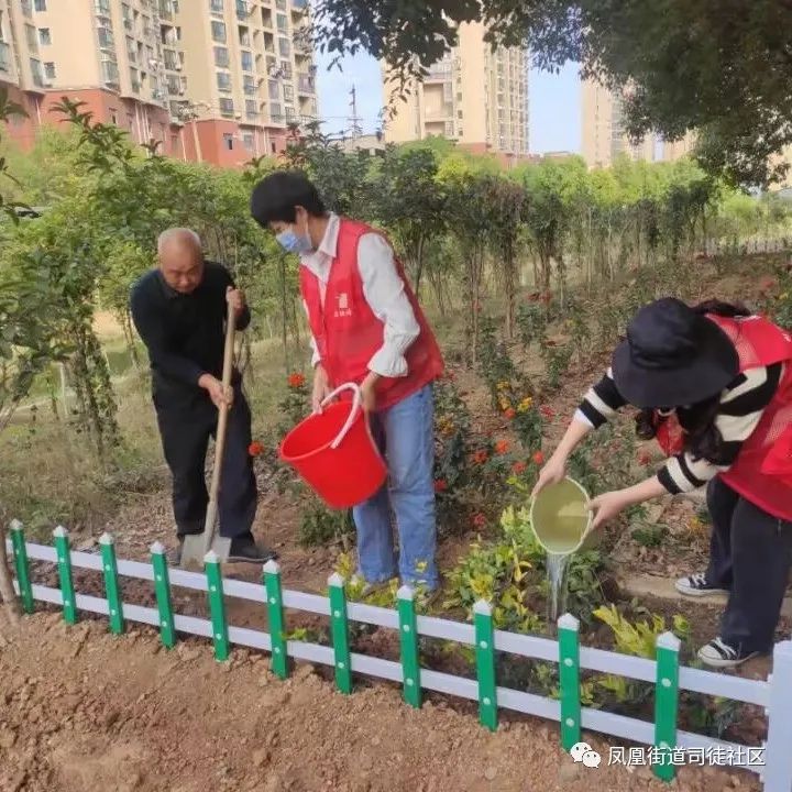 建设银行填表为什么不能画花