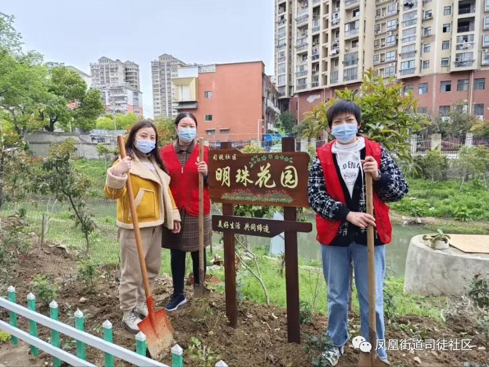 建设银行填表为什么不能画花