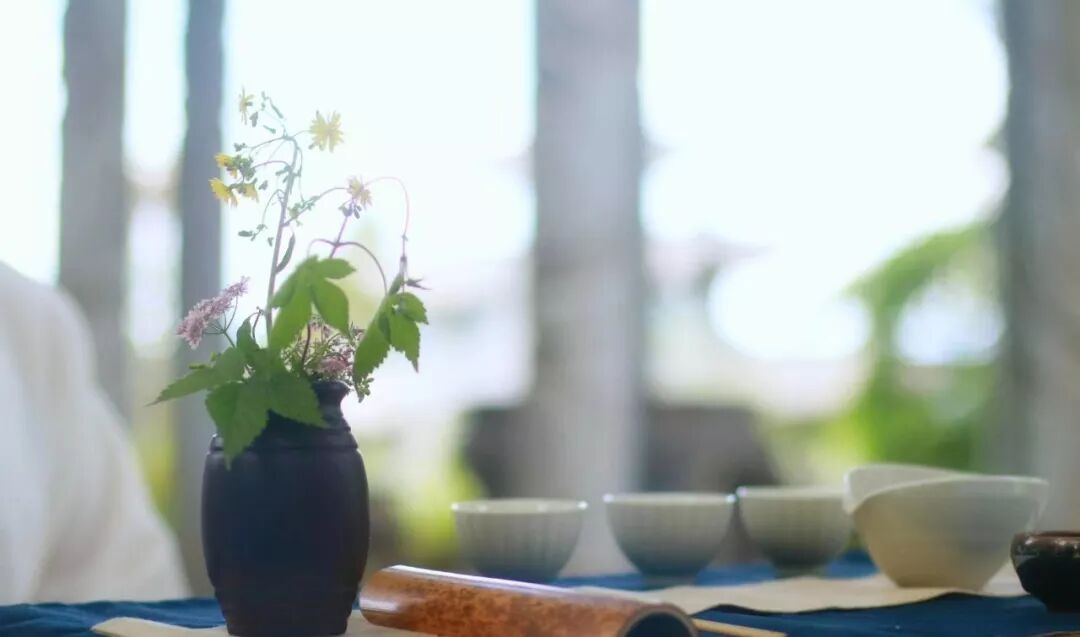 “道家养生辟谷”交锋“肝癌晚期”——2天，不疼了