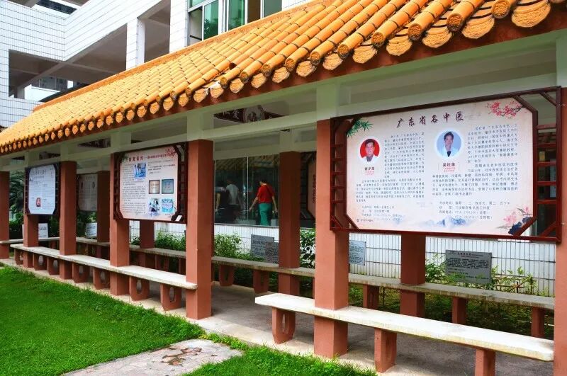 市中医院精心打造的中医药文化长廊建设完成请您收下这张中医药文化