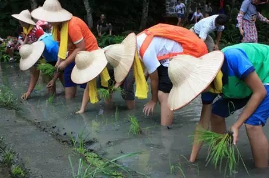 台灣住宿聯盟選文 / 短短十五年，台灣休閒旅遊是如何崛起的？附五大特點、六大特色案例！ 旅行 第17張