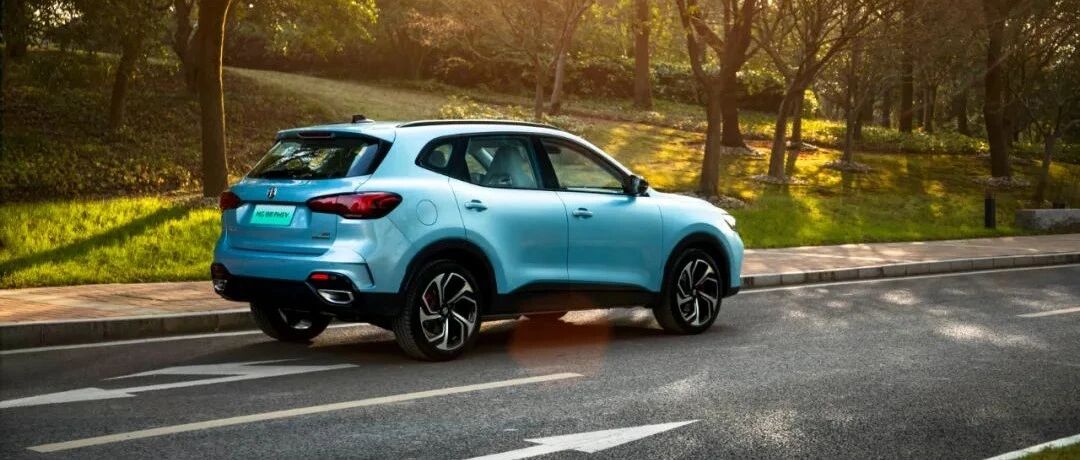 Experience｜MG领航，你是独墅湖畔那棵“最孤独的树”吗？