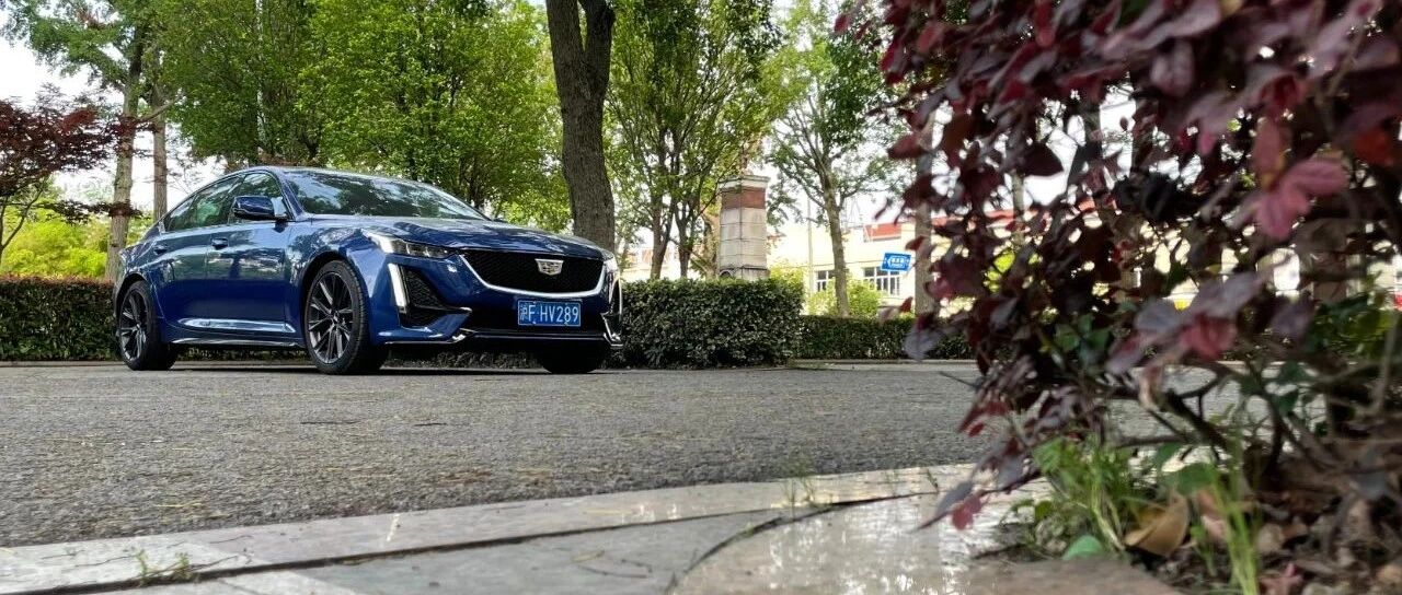 严选丨婚后畅想，选一款我和她都不想说“不”的新车