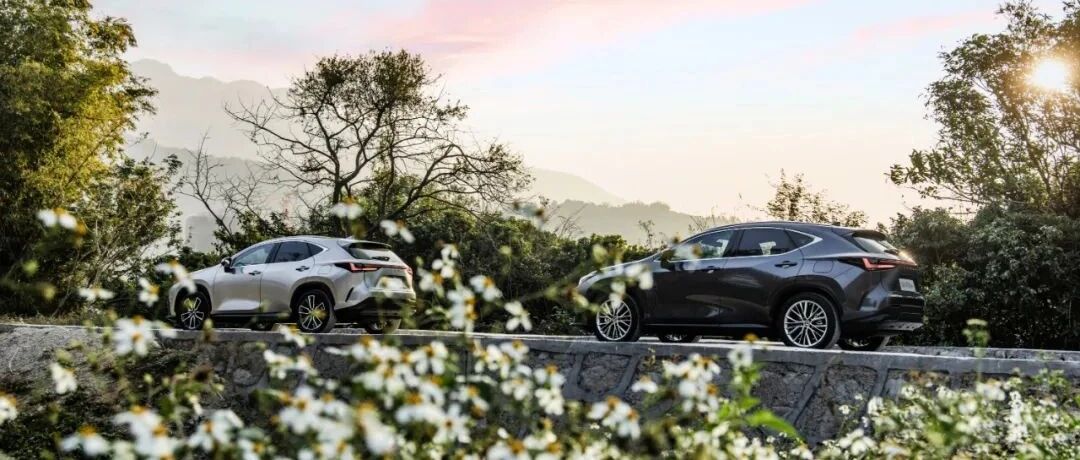 禅意中开出了花｜Experience