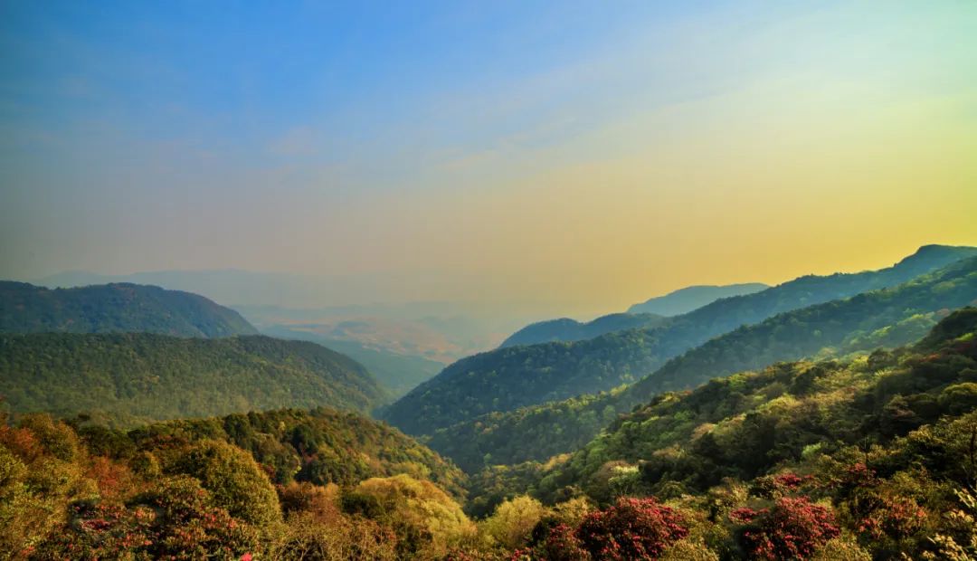 这里山高涧深,山势险峻,林间古藤缠绕,溪流潺潺,六个森林湖泊吸日月之