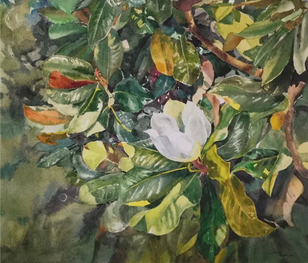 第二届“齐鲁彩韵”山东水彩画会优秀作品线上展(图57)