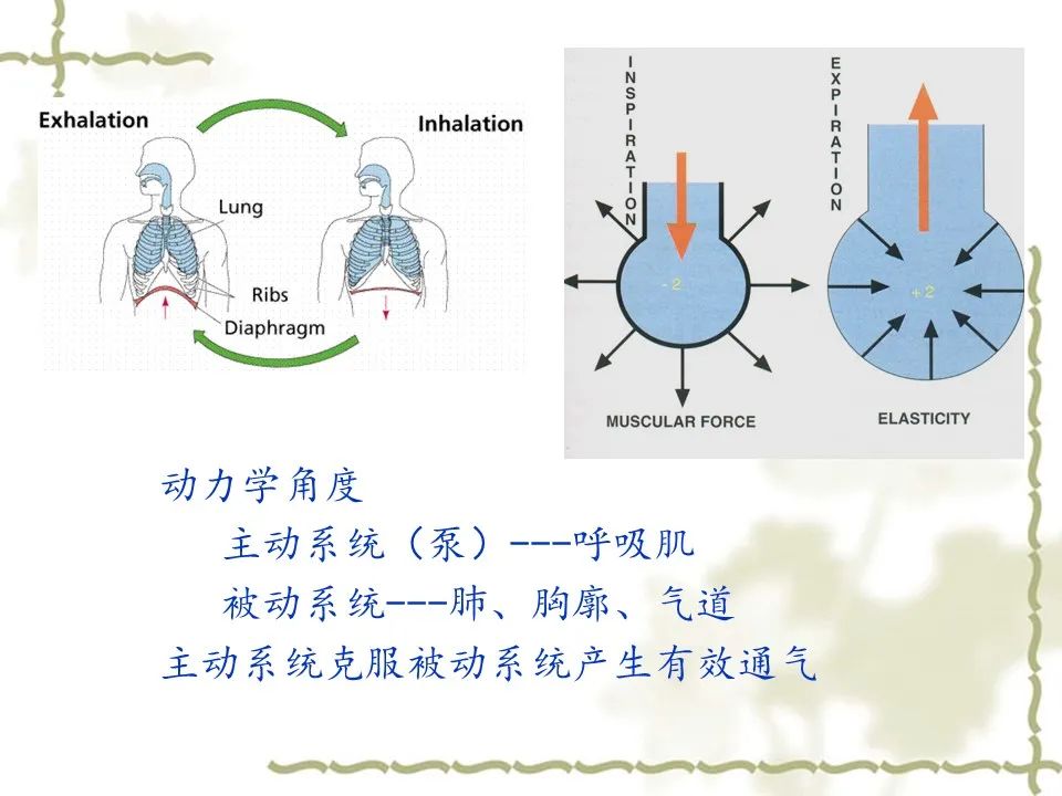 【ppt】呼吸机的使用