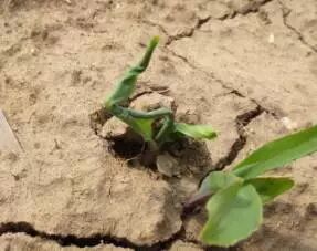 4~LANZLRR{()YV~}CU91_QO.png 图片