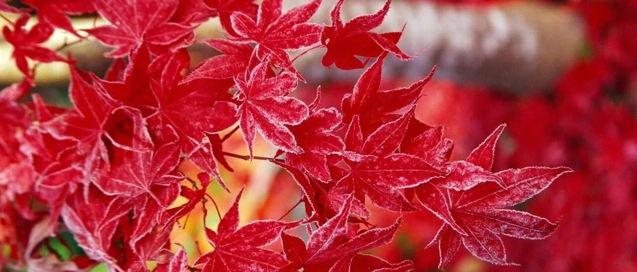 气温“零上”余额不足！今天全省最高气温2~8 ℃，明起气温速降……