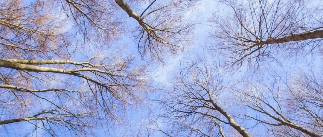 冷！今天全省大部降温1~6℃，全天气温都在零下！局地有阵雪