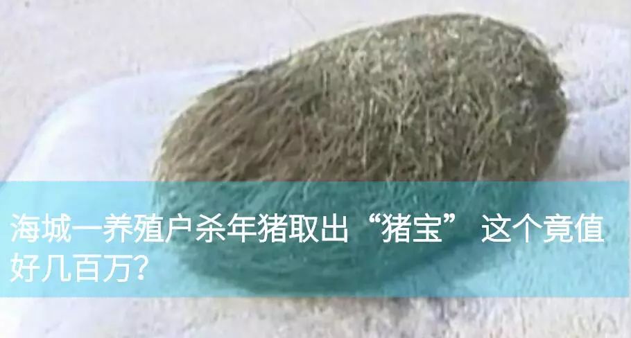 關注|人人人人人人春節旅行預測圖出爐！這幾個地方勸你還是別去了！ 旅遊 第18張