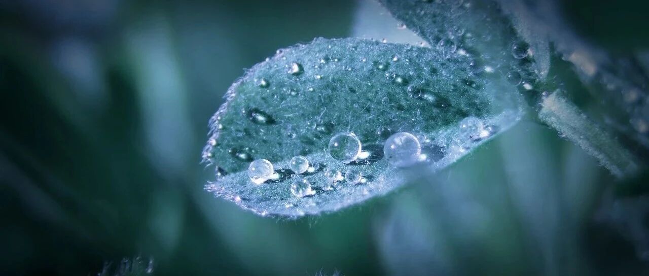 今天全省升温3~7℃，多地最高气温-4℃上下！明天又降温……