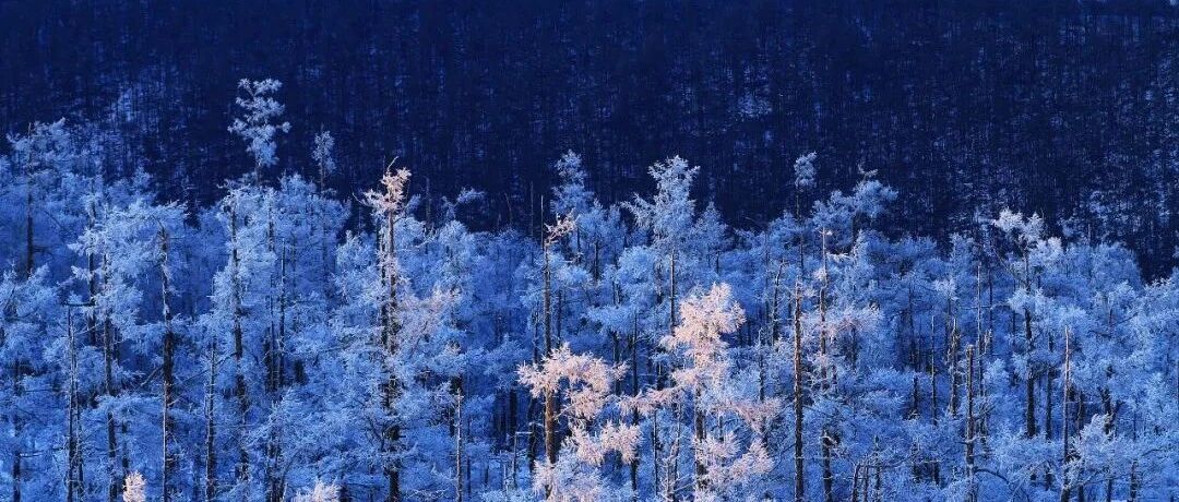 今天全省大部多云，降温1~6℃！多地最低气温降至零下