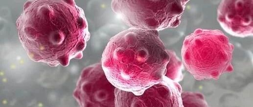 沈阳疾控中心发布最新提醒！重视预防这种病毒感染！