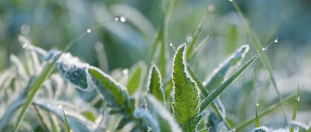 “三九”最暖一天！今天全省升温4~12℃，多地最高气温重回零上！