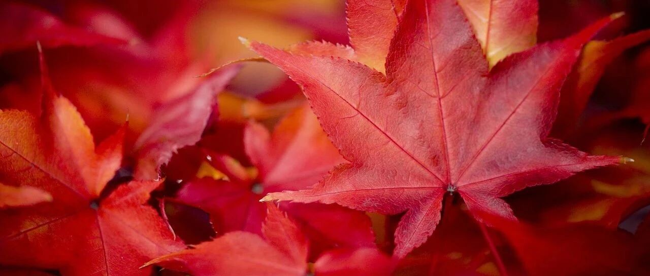 今天开启升温模式！全省天气晴好，升温1~4℃