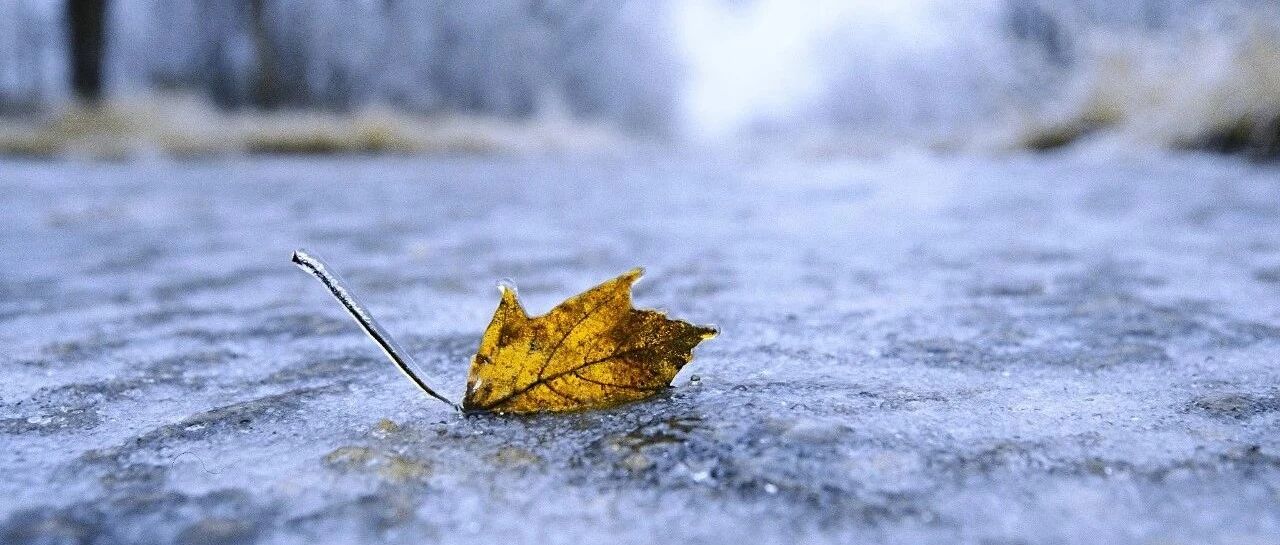 今天全省升温1~3℃，多地最高气温重回零上！周日冷空气又来，气温骤降……