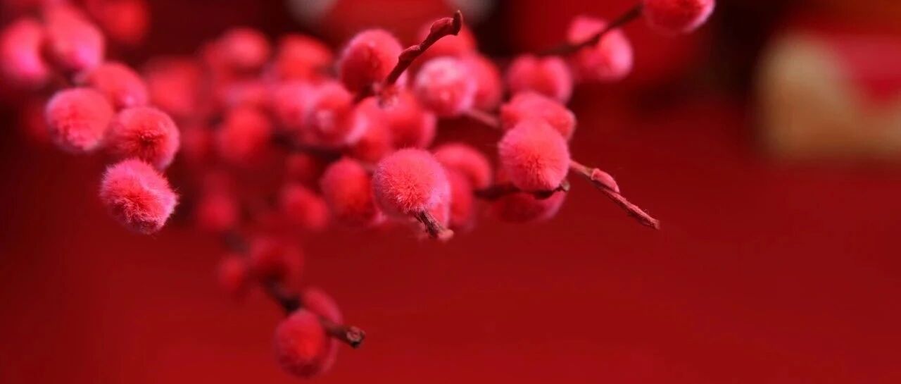 今日“雨水”！节后首个工作日，全省多地最高气温重回零上！