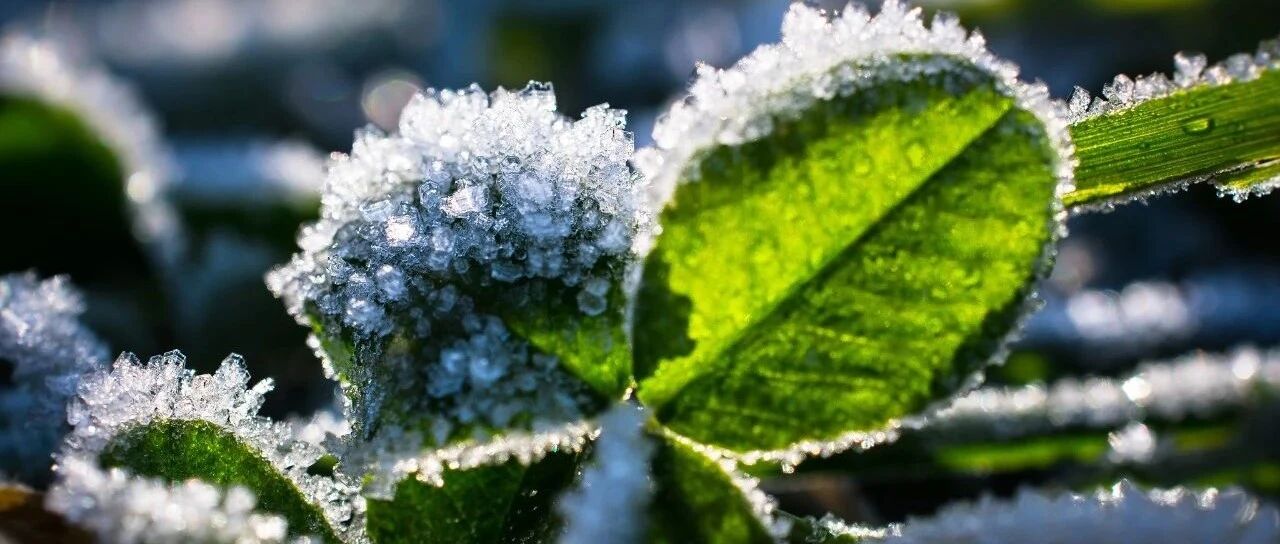 今天全省升温2~5℃，多地最低气温仍在-20℃！元旦期间“干冷”继续……