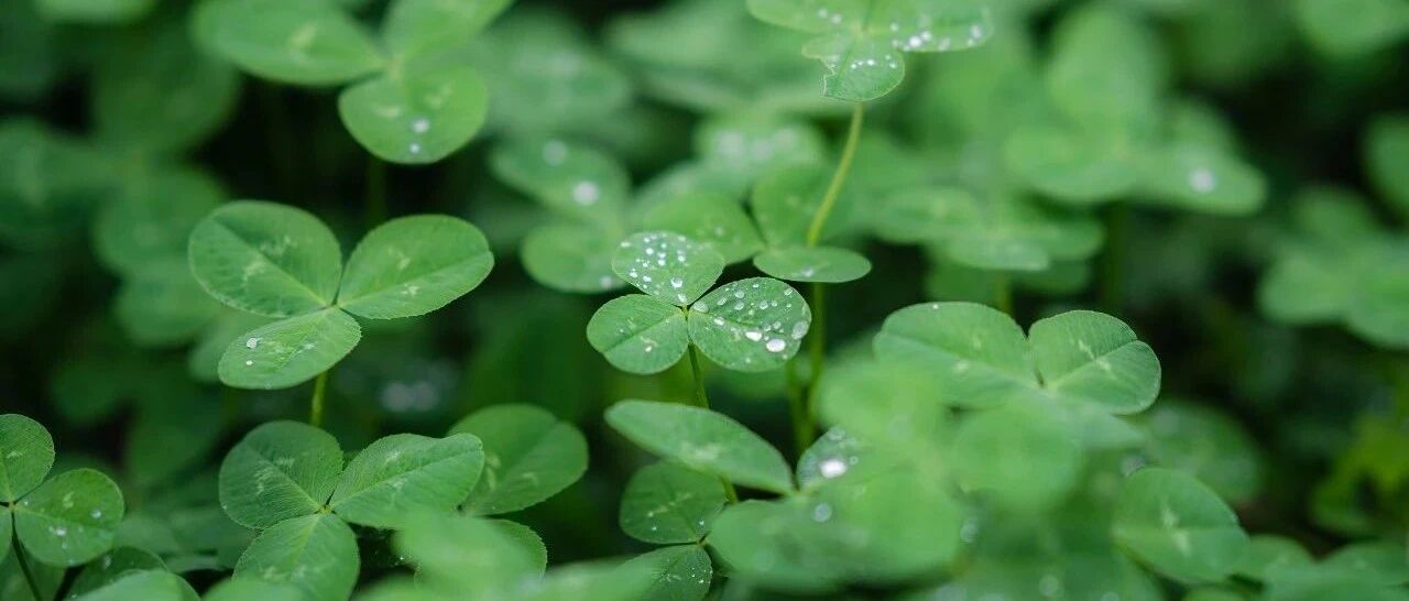 今天全省大部降雨结束 气温下降1~3℃，一早较凉要多穿！