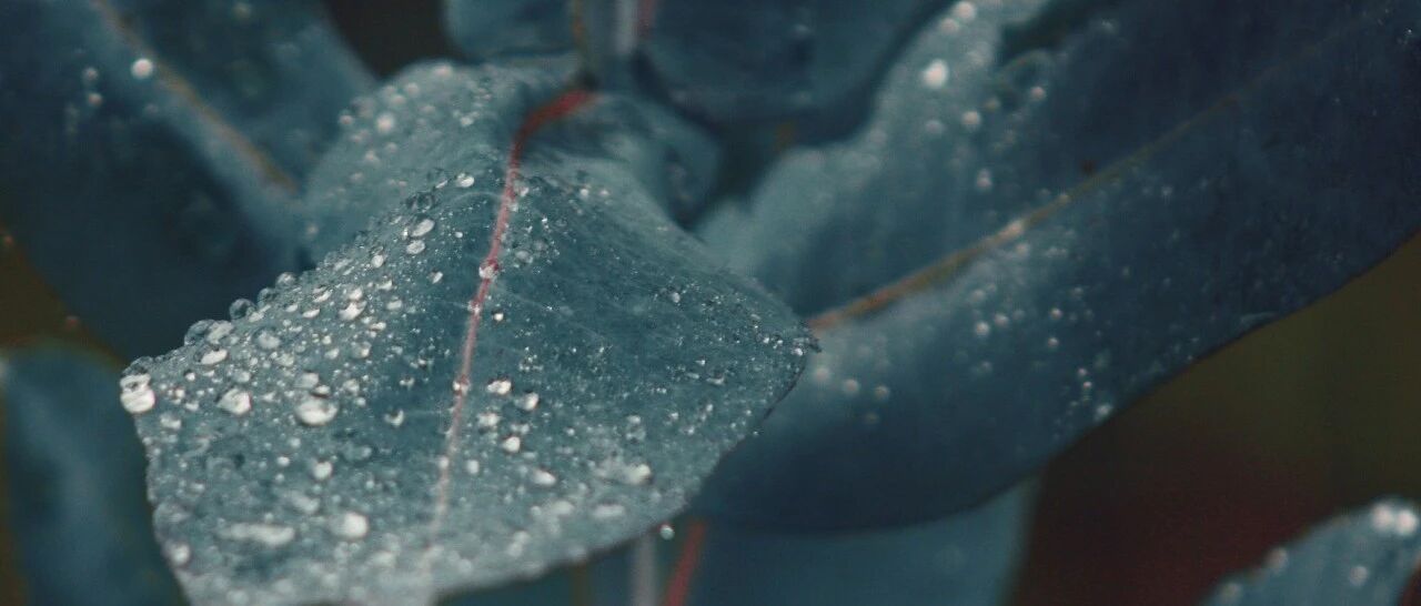 今天全省晴好，气温下降1~7℃！明天冷空气继续发力，最高气温降至……