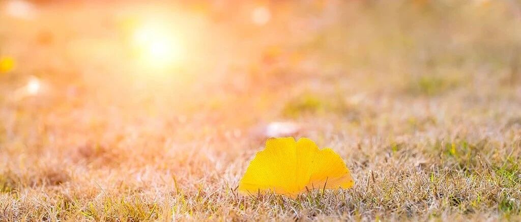 西南风助力，今天全省升温1—5℃，但早间依然嘎嘎冷