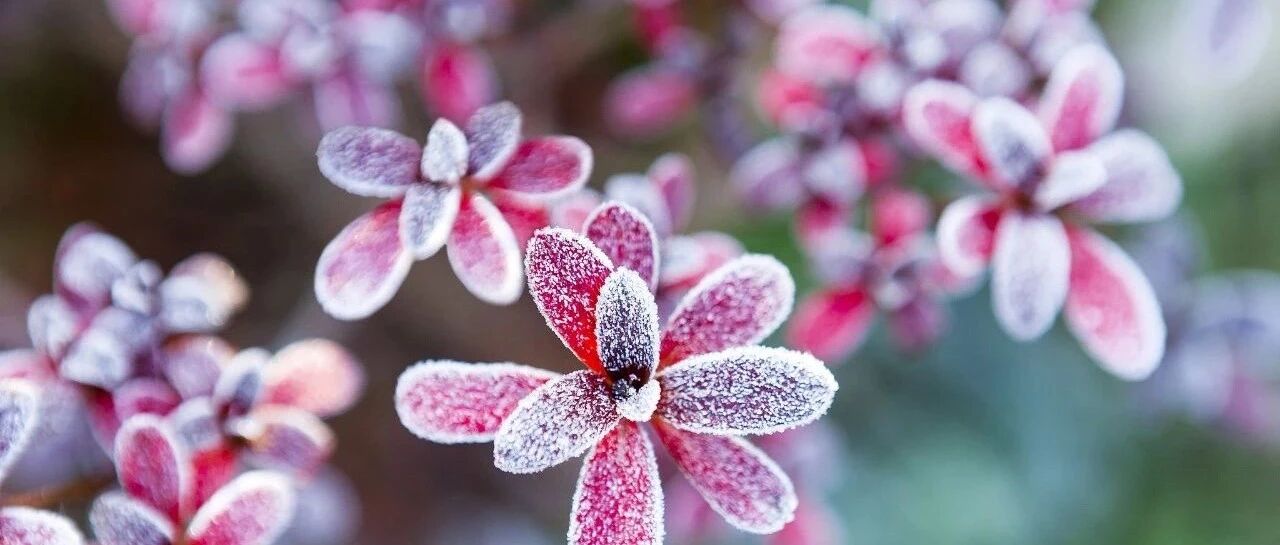 晴好继续！今早全省多地最低气温跌破-10℃，好在午后升温……