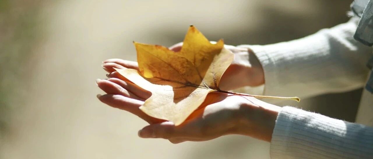 秋天第一双长袜穿起来！节后第一天上班，最高温21—24℃