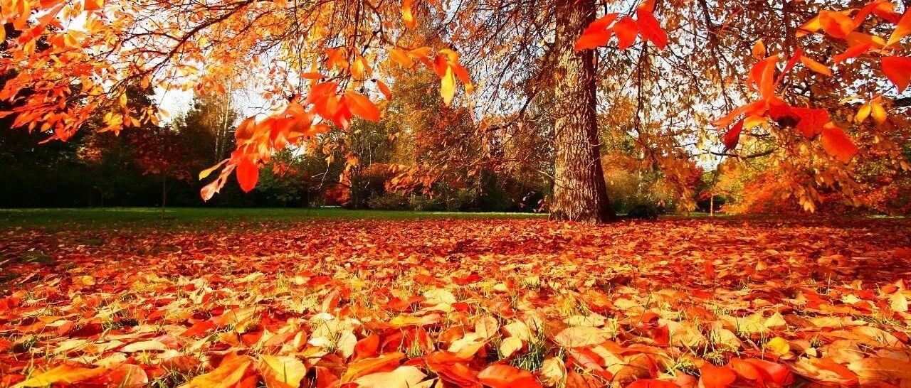 阳光正好！今天全省大部最高气温21℃，预计后天降雨降温，气温骤降……