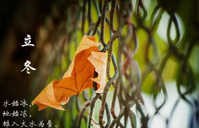 雨夾雪今晚登場明日立冬最低溫降至零下