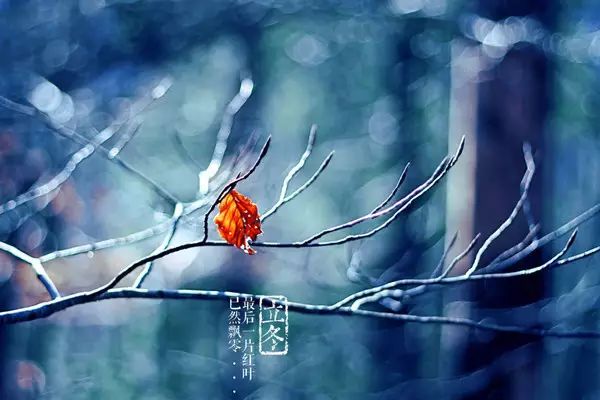 雨夾雪今晚登場明日立冬最低溫降至零下
