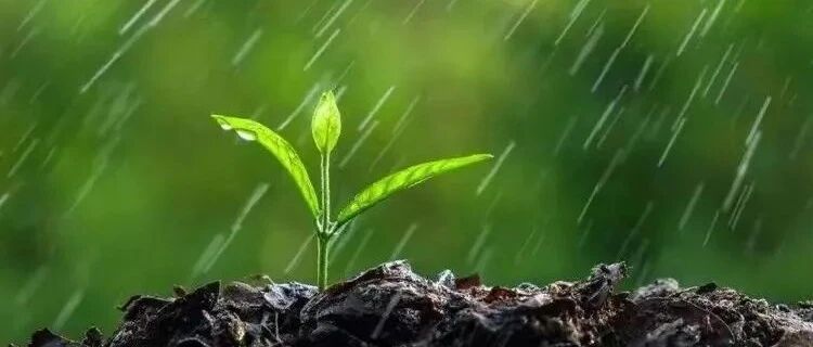 冷空气来临 辽宁将迎雨雪降温天气