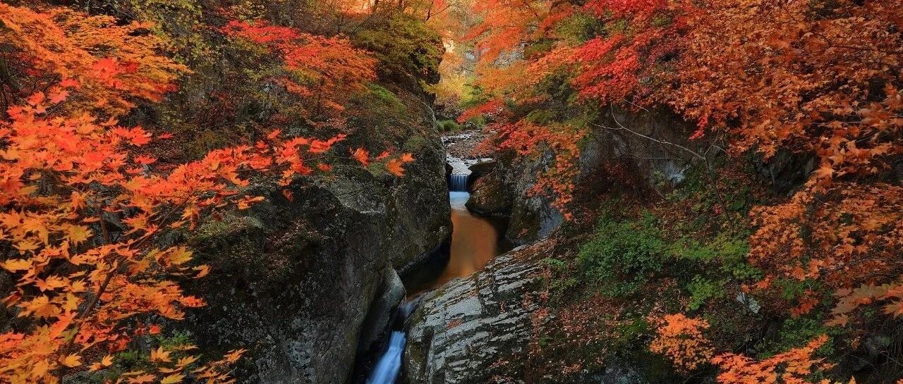 今天辽宁正式入冬！白天气温再降5~8℃，一早省内多地最低气温跌破0℃