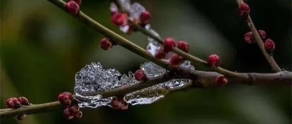 弱冷空气过境 今天辽宁降温天气阴沉