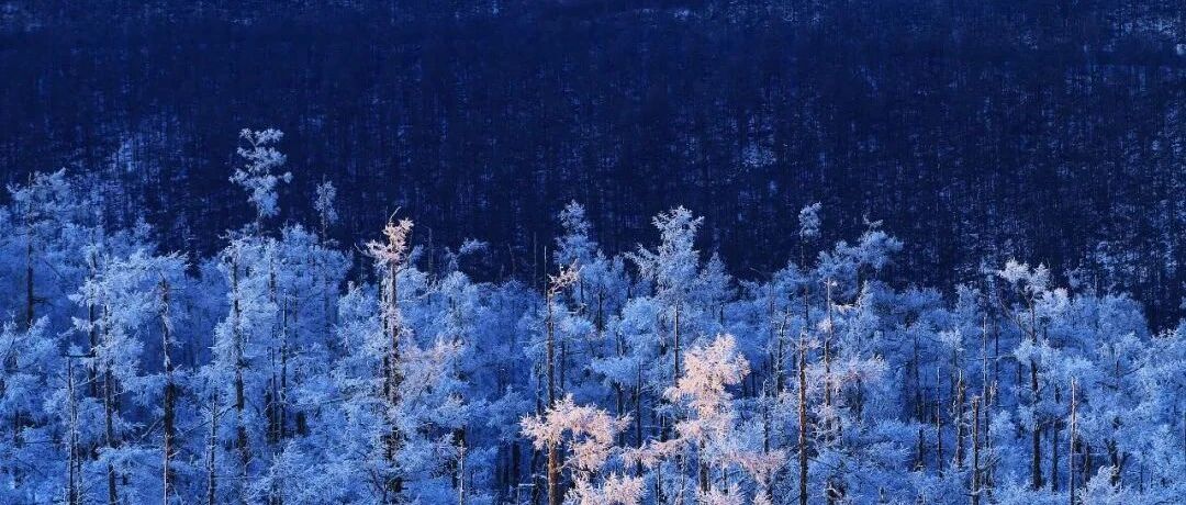 “晴冷模式”开启！全省多地最高气温降至零下，一早更冷……