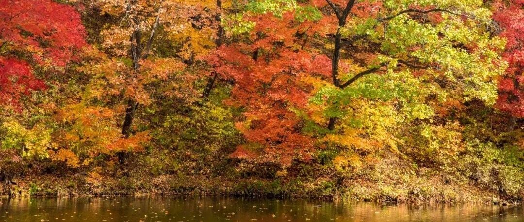 降温了！今早辽宁多地气温创下半年来新低！最低气温向0℃靠近……
