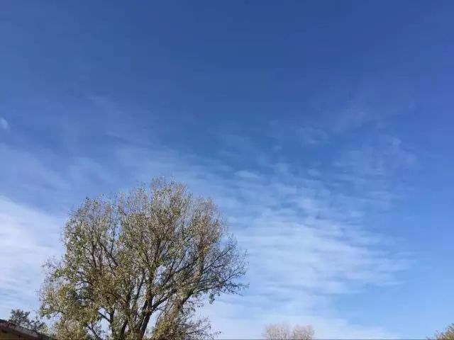 天氣|冷空氣點到為止明天又升溫 志願者披風雪抵遼陽送心願包!