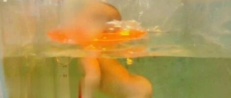 痛心！刚满月女婴在家长监护下游泳窒息身亡！新手爸妈千万要注意→