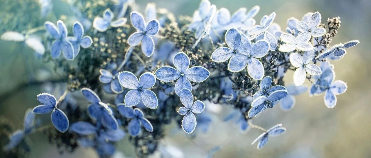 今天全省大部降温1~6℃  多地最低气温跌至零下，晚上还有雨！