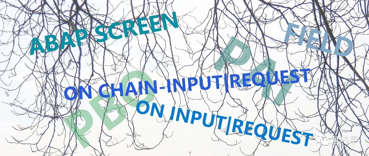 ABAP 辨析 ONINPUTREQUESTCHAININPUTCHAINREQUEST - 封面图